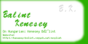 balint kenesey business card